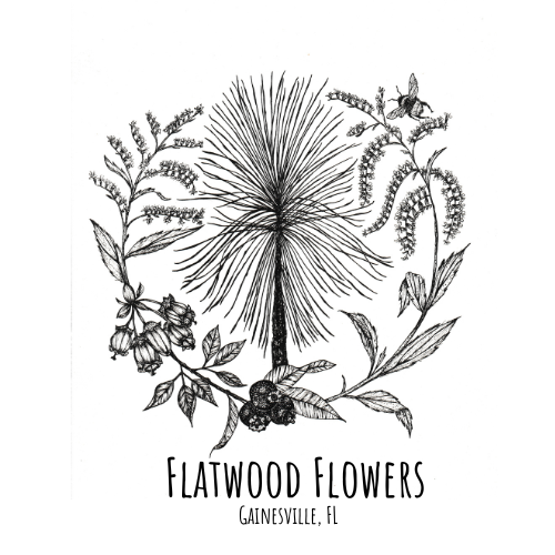 Flatwood Flowers