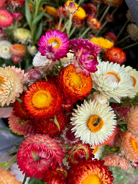 Mother's Day Arrangement